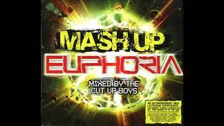 Mash Up Euphoria by the Cut Up Boys CD3