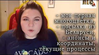 МОЁ ВЫШИВАЛЬНОЕ БЛОГЕРСТВО/прошлое, настоящее, будущее//посылка из Беларуси/СКАЗОЧНЫЙ ЛЕС