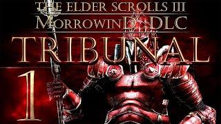 The Elder Scrolls 3: Morrowind (TES III) - DLC TRIBUNAL - Прохождение #1 Новое начало!