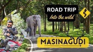 Masinagudi Road Trip | Best scenic route in India | Bangalore ️ Ooty Weekend Trip | Bandipur Forest