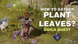 Lost Ark Guild Quest How to Gather Plant Leaves?