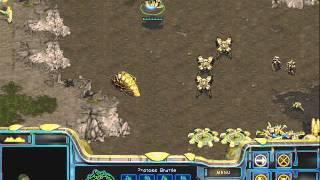 StarCraft Brood War [FPVOD] azbuka sc protoss urok1