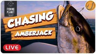 We'er fishing for Amberjack! (Ocean Fishing) | Fishing Planet [LIVE]