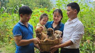 Giving A Puppy To A Neighbor Who Loves Dogs - An Makes Cakes For The Whole Family To Enjoy