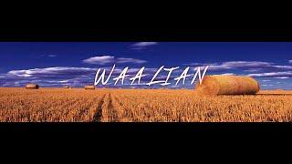 Waalian :  | The Kidd | Rubbal GTR | Latest Punjabi Song | CHOREOGRAPHY BY (AKASH SINGH) DANCE VIDEO