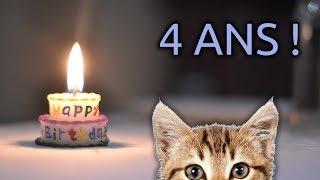 FormationVidéo fête ses 4 ans !