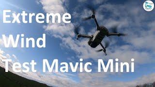 DJI Mavic Mini Hurricane Test |  Mavic Mini Wind Test - Can the Mavic Mini resist strong wind?