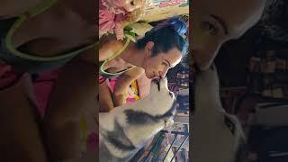 Husky Kiss Challenge