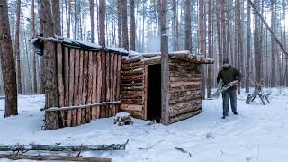 Shelter building in the woods, bushcraft modern