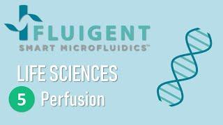 Microfluidic cell perfusion