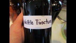 Making Nettle Tincture