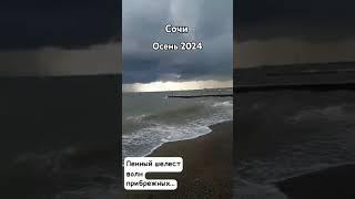 Осень в Сочи 2024. Пляж Жемчужина. #сочи #sochi #море