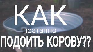 КАК ПОДОИТЬ КОРОВУ?! А вот так!!