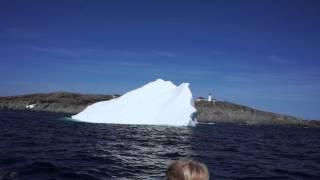 Iceberg near Quirpon lighthouse Inn