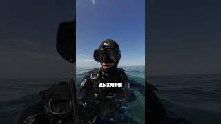 Первое правило дайвинга  #aksenovscubadiving #scubadiving #дайвинг