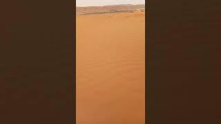inside the dersert of Saudi Arabia #shorts #viral #2023 #viralvideo #fyp