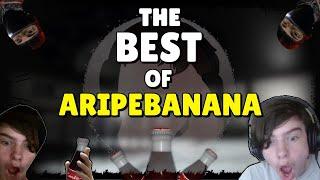 SCP: Secret Laboratory - The Best of ARipeBanana