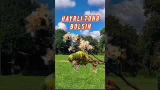 Hayrli tong bolsin barchaga