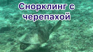 Маврикий. Снорклинг с черепахами на экскурсии с катамараном. Catamaran turtle snorkeling Mauritius.
