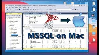 How to Install MS SQL Server on Mac and Create Databases - Step by Step