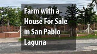 Farm with a House For Sale in San Pablo Laguna