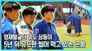 (근황 공개) 고등학생이 된 영재발굴단 유도 삼둥이를 6년 만에 만났습니다┃(Update) The Judo Triplets Got into High School!