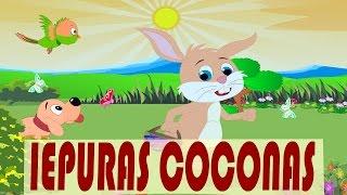 Iepuras coconas | Din lumea copiilor | Rabbit Song in Romanian