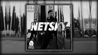 Hikari Presents: Netsky (Best Of Netsky Mix)