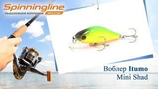 Воблер Itumo Mini Shad