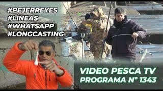 LINES AND SILVER FISHING, NEWS, REPORT: ARE THE HORNS COMING?