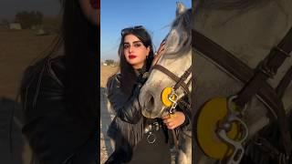 If Princess of Dubai looks back at you, you might even be sent to jail#shorts