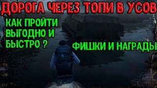 Дорога через топи в Усов. Как пройти ? (Stalker Online/Stay Out)