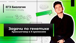 ЕГЭ Биология | ЗАДАЧА ПО ГЕНЕТИКЕ. Кроссинговер в половых хромосомах