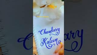 Chaudary#kaleem#name's#calligraphy #cursive #writing #whatsappstatus #shorts