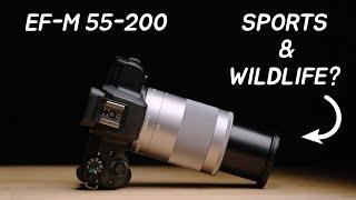 The Best Telephoto Lens for Canon EF-M Cameras? | EF-M 55-200mm IS STM