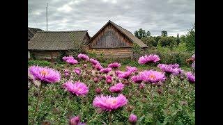 MODERN UKRAINE. My mother's amazing garden and a country house