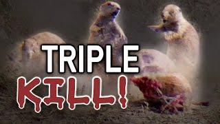 Prairie Dog Hunting Armageddon! Slow Motion Explosions!