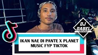 DJ IKAN NAE DI PANTE X PLANET MUSIC FYP TIKTOK - DJ DABEL (NIKKO STYLE) ️