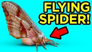 Weird Creature Discoveries That Made People Say WTF Is THAT!?