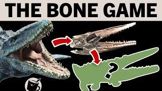 Drawing Prehistoric Animals Based On Their Skulls