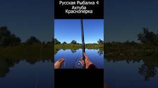 Русская Рыбалка 4 р Ахтуба Красноперка на Мах  #рр4 #ахтуба #красноперка 14 07 23