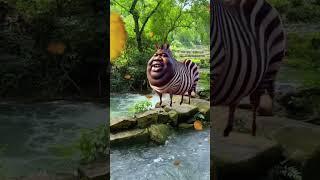 The Beauty Of Nature