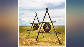 JingZhouYang Shooting Targets 10 Inch Self Adhesive Paper Reactive Splatter Targets review