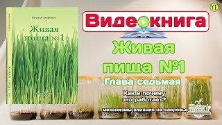 Евгений Агафонов, Видео-книга "Живая пища №1". Глава 7: Как и почему это работает. (видео 72)