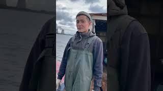 Севрюга #белугафиш #осетроваяферма #fish #shortvideo #узв #fishing #осетр