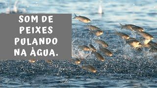 Som de Peixe Pulando na Água Música Para Dormir Relaxar....