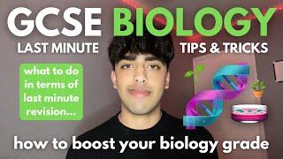 last minute GCSE biology tips + tricks (feat. exam question walkthroughs)