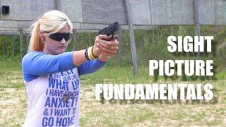 How to Shoot a Gun: Sight Picture Fundamentals FateofDestinee