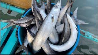 Fishing in Coron, Palawan with Dugong