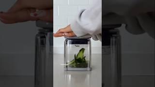 Best French Fry Cutter | 4-in-1 Food Dicer Chop Box #amzonfinds #chopper #shorts #youtubeshorts